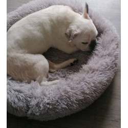 Cahier piqué 17x22 60 pages couverture PP vert 103871