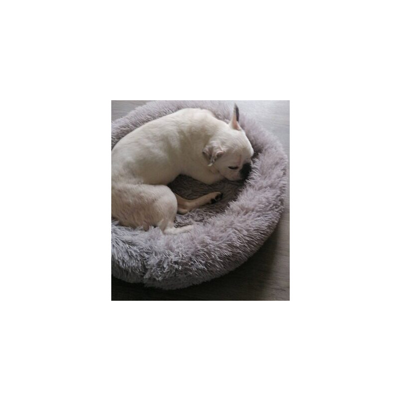 Cahier piqué 17x22 60 pages couverture PP vert 103871