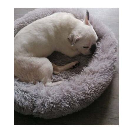 Cahier piqué 17x22 60 pages couverture PP vert 103871