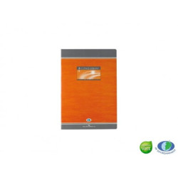 Conquerant Cahier piqûre A4 96 pages 5x5 102482