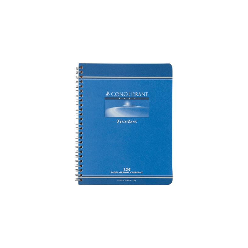 Hamelin Cahier Texte 17x22 124 Pages Seyes 105369