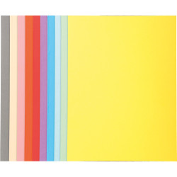 Exacompta Chemises Carton 24x32cm 220g 410000E