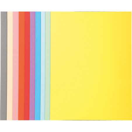 Exacompta Chemises Carton 24x32cm 220g 410000E