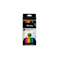 Crayons de couleur étui 12 couleurs 000092
