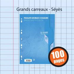 Clairefontaine Feuilles Mobiles A4 100p Bleu 7962