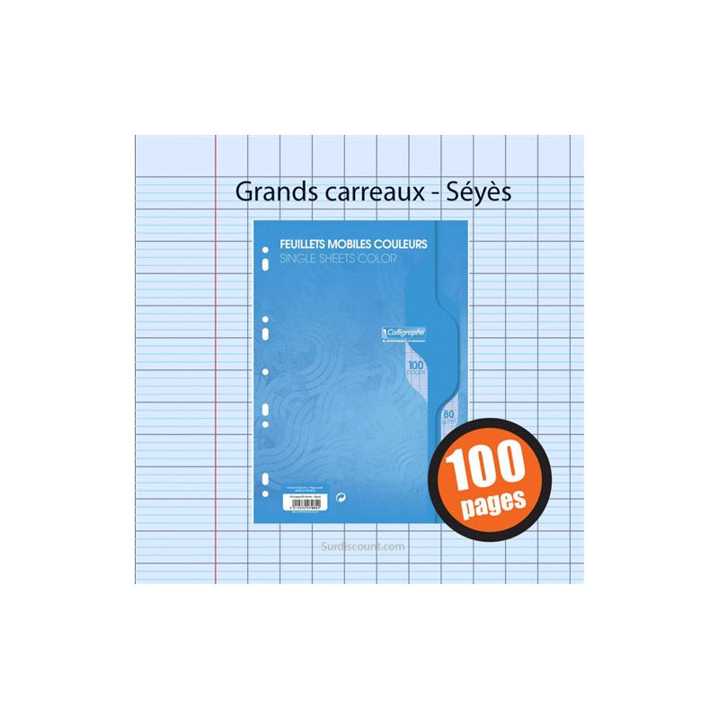 Clairefontaine Feuilles Mobiles A4 100p Bleu 7962
