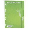 Clairefontaine Feuille Mobile A4 Seyes Vert 80g 7965