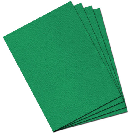 Canson Papier Mi-Teintes 50x65 Vert Billard 321234