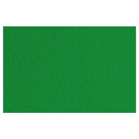 Fabriano Papier Couleur Vert Billard 50x65 52551037