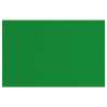 Fabriano Papier Couleur Vert Billard 50x65 52551037