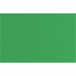 Fabriano Papier Couleur Vert Mousse 50x65 52551012