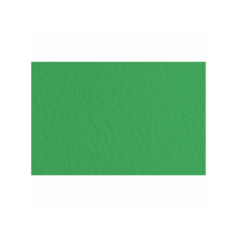 Fabriano Papier Couleur Vert Mousse 50x65 52551012