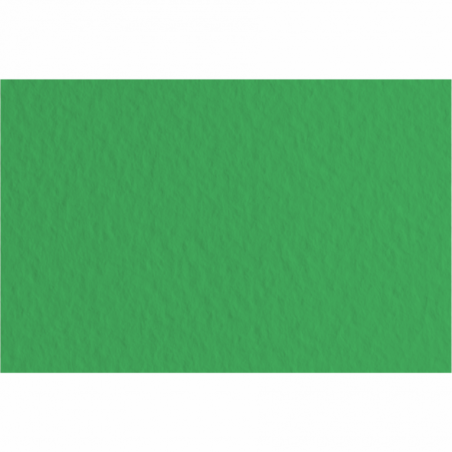 Fabriano Papier Couleur Vert Mousse 50x65 52551012