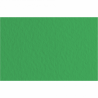 Fabriano Papier Couleur Vert Mousse 50x65 52551012