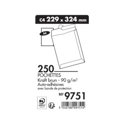 Poche Kraft 22x32 Sili BTE-250 10172