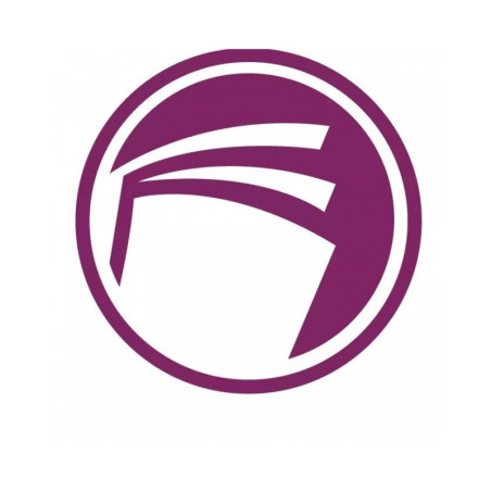 Exacompta Sous-chemise 60g Rose P-250 850003E