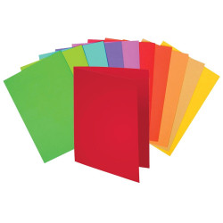 Exacompta Sous-Chemises 80g 30 Pochettes Couleurs Assorties