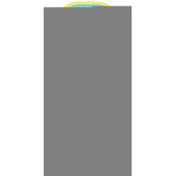 Papermate Feutres Flair Original 3+1 Gratuit S2028915