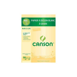 Canson Bloc Dessin Blanc A4 20 Feuilles 160g S200001092