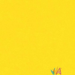 Guarro Canson Papier Iris Vivaldi A4 185g Jaune D S40156