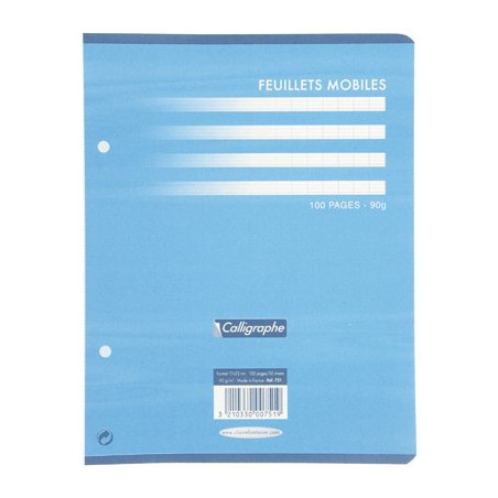 Clairefontaine Feuillets Mobiles 17x22 100p Séyès 90g 751