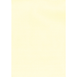 Apli Papier Vergé Crème A4 100g 100 Feuilles Y12369