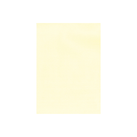 Apli Papier Vergé Crème A4 100g 100 Feuilles Y12369