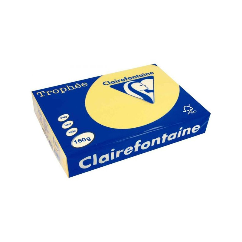 Favini Papier A3 160g 250 Feuilles Bouton d'Or 1110