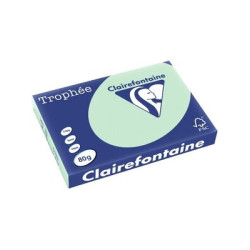 Clairefontaine Papier A3 80g Vert 1882