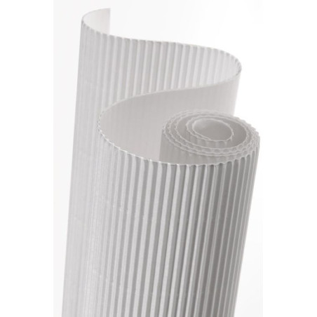 Canson Carton ondulé blanc 50x70cm 300g S200992606