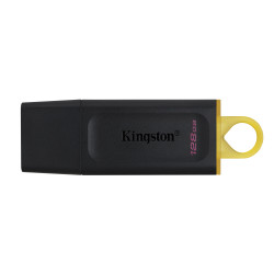 Kingston Clé USB 128GB Exodia USB3.2
