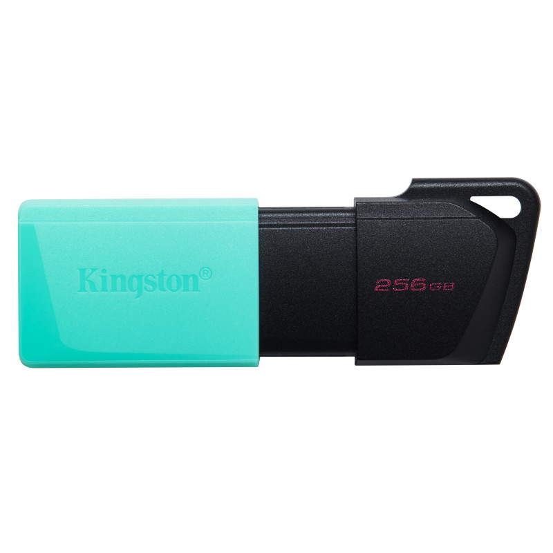 Kingston Clé USB 256GB Exodia M USB3.2 CLEKING256GBU3.2M