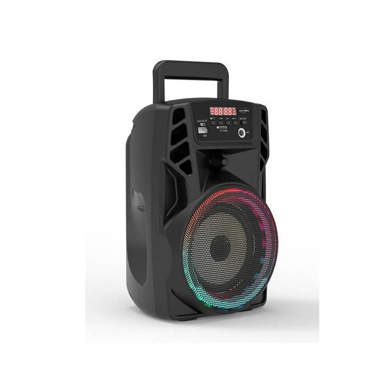 Inovalley Enceinte Karaoké Lumineuse Bluetooth KA01 INKA01