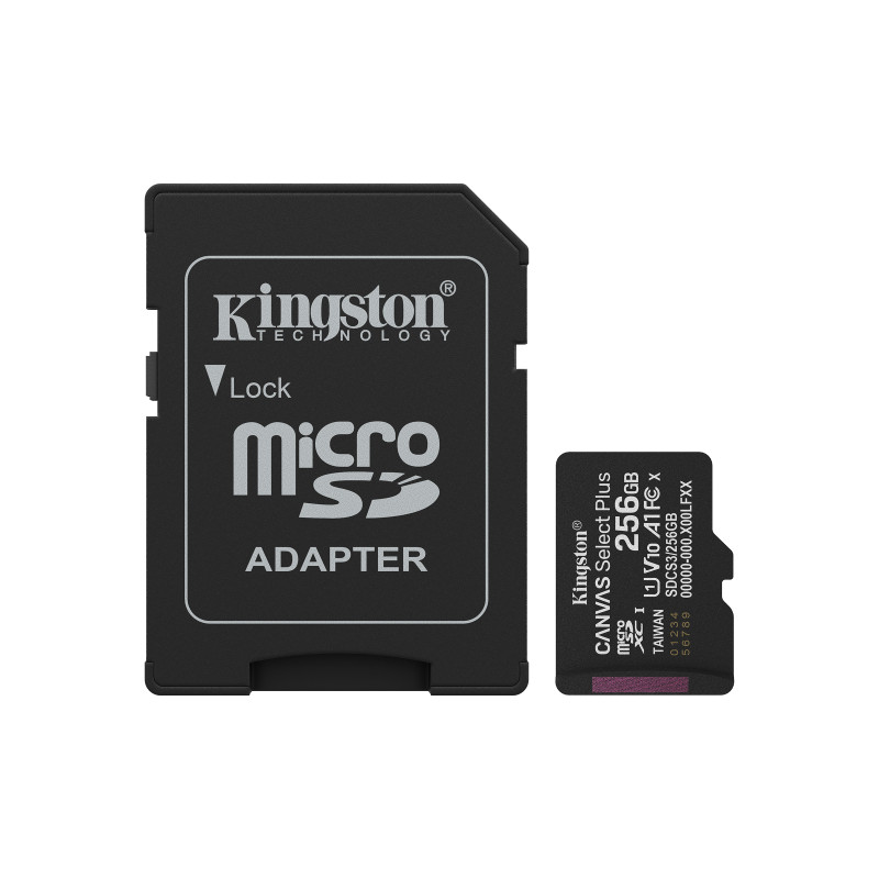 Kingston Carte MicroSDXC 256GB Classe 10 + Adaptateur