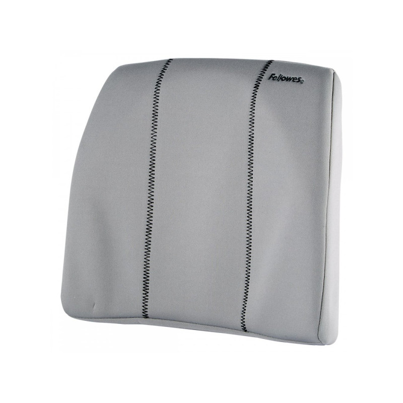 Fellowes Support Dorsal Gris Platine 9190901