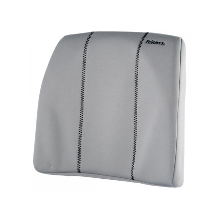 Fellowes Support Dorsal Gris Platine 9190901