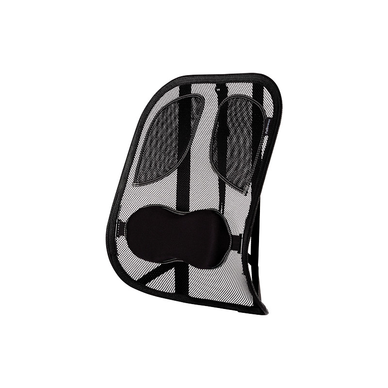 Fellowes Support Dorsal Maille Professional Series 8029901